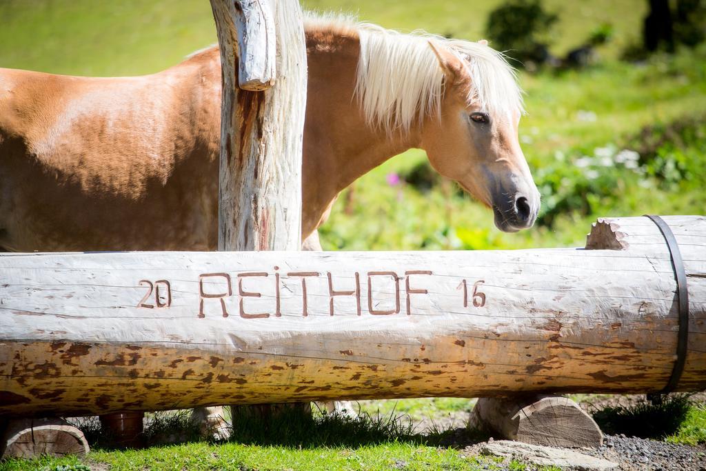 Almhof-Reithof Pitztal Hotel ซังคท์เลออนฮาร์ด อิม พิทซ์ทัล ภายนอก รูปภาพ